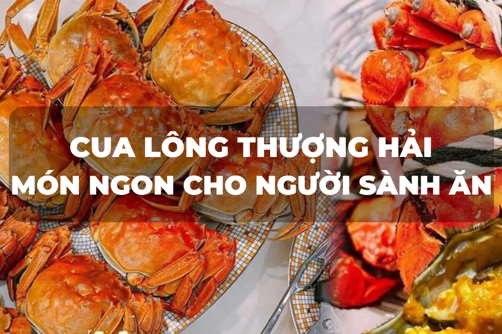CUA LÔNG THƯỢNG HẢI – MÓN NGON CỦA NGƯỜI SÀNH ĂN