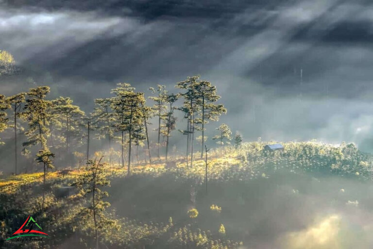 Dalat