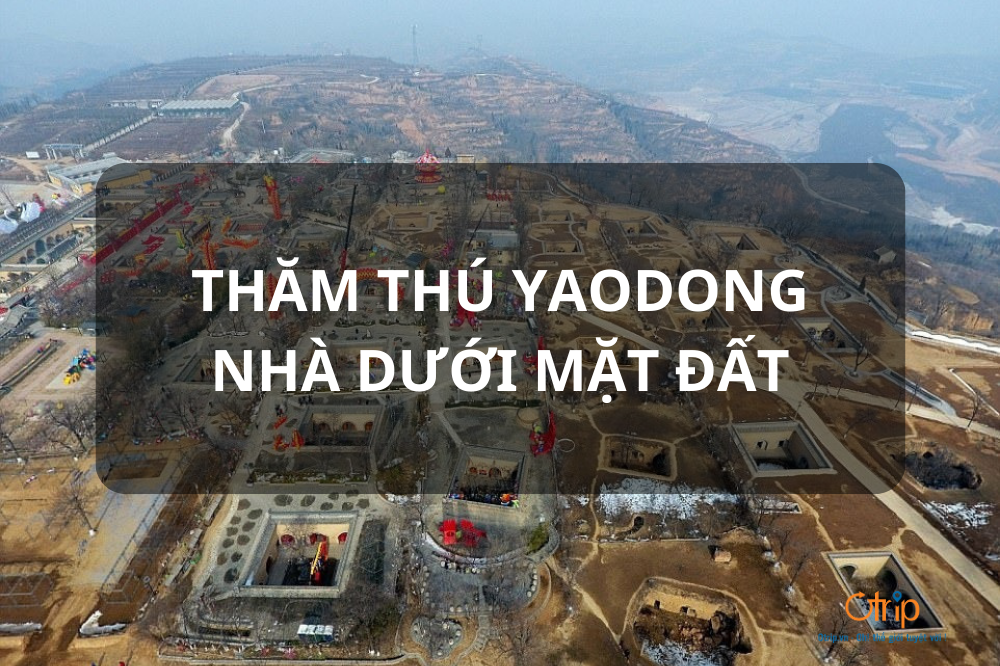 THĂM THÚ YAODONG – NHÀ CHÌM DƯỚI MẶT ĐẤT