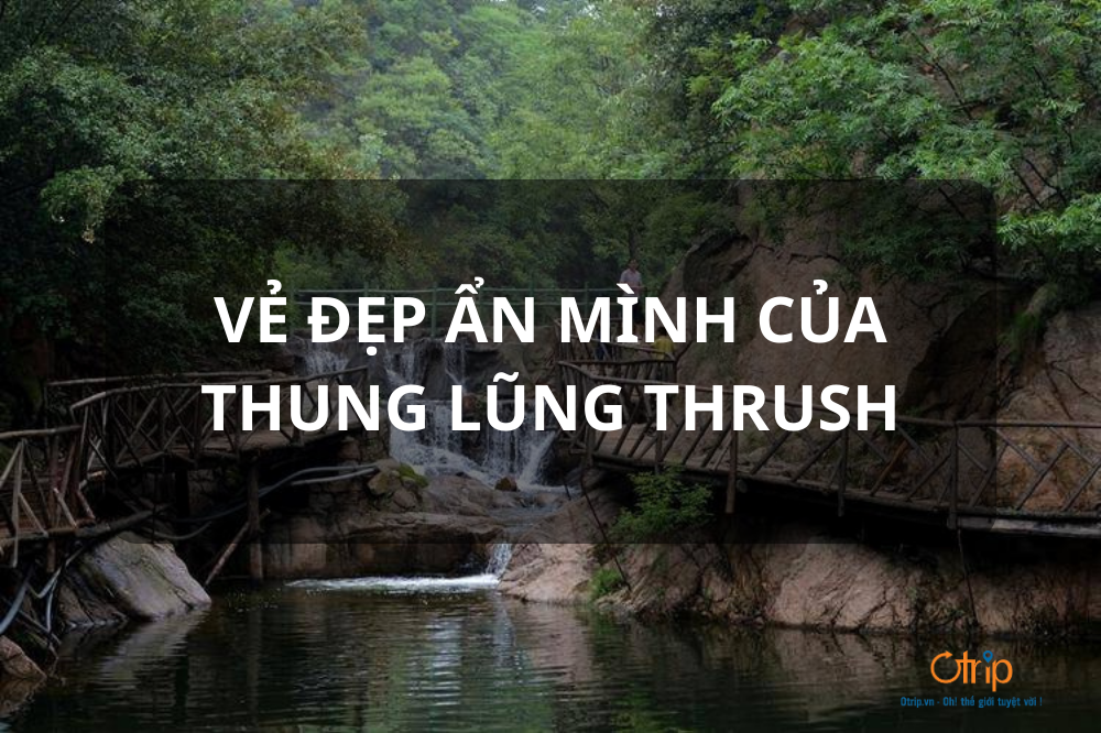 VẺ ĐẸP ẨN MÌNH CỦA THUNG LŨNG THRUSH