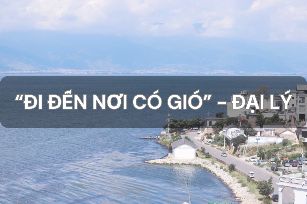 “ĐI ĐẾN NƠI CÓ GIÓ” – ĐẠI LÝ