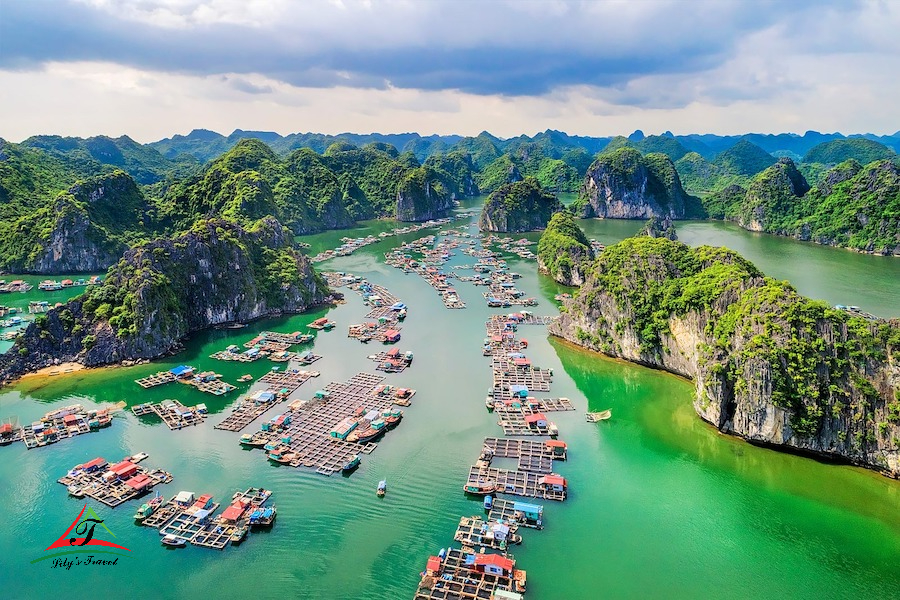 Hai Phong