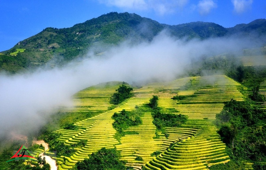 Sa Pa
