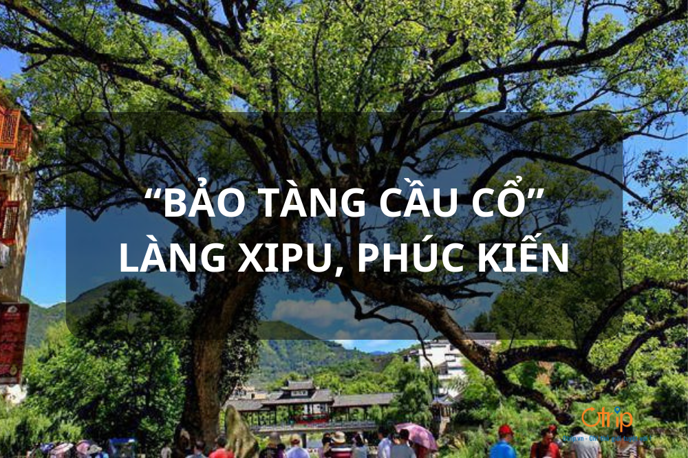 BẢO TÀNG CẦU CỔ – DU LỊCH LÀNG XIPU, PHÚC KIẾN