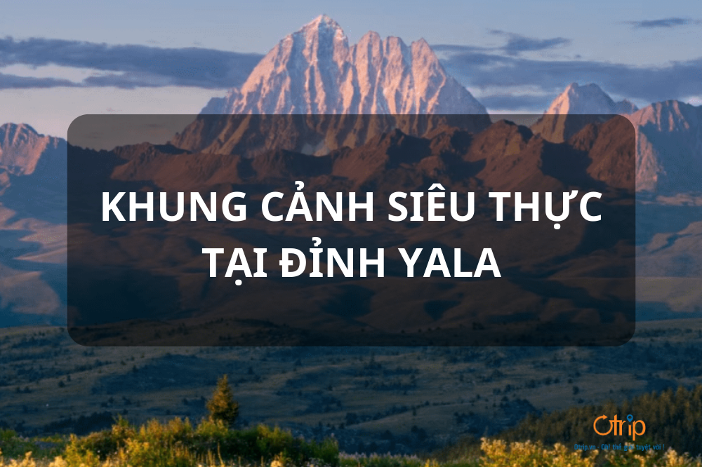 KHÁM PHÁ KHUNG CẢNH SIÊU THỰC TẠI ĐỈNH YALA