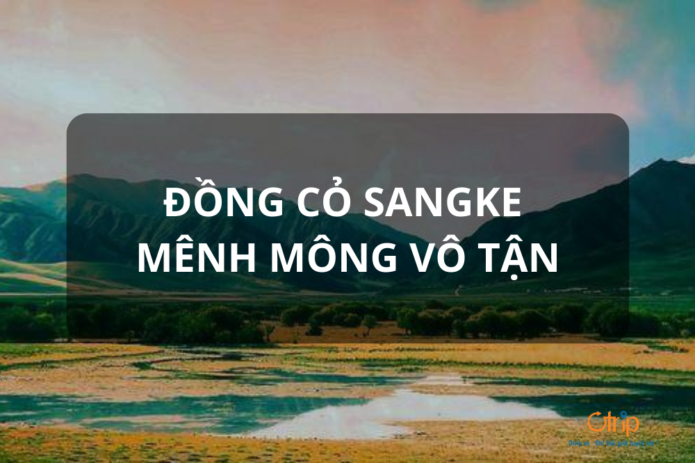 ĐỒNG CỎ SANGKE MÊNH MÔNG VÔ TẬN