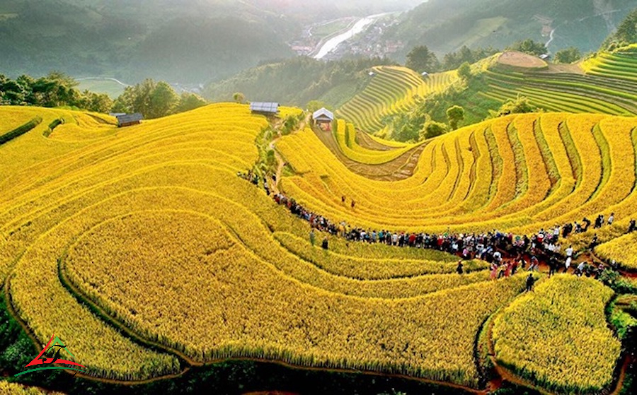 Mu Cang Chai - Yen Bai
