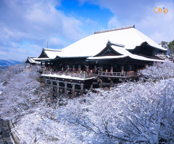 ĐÓN TẾT NGUYÊN ĐÁN TẠI NHẬT BẢN: OSAKA – KYOTO – TOKYO