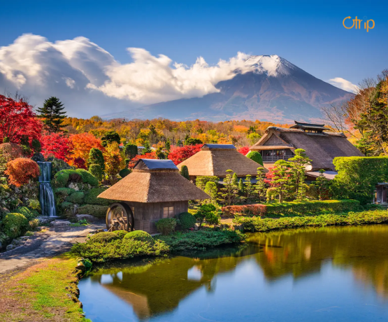 ĐÓN TẾT NGUYÊN ĐÁN TẠI NHẬT BẢN: OSAKA – KYOTO – TOKYO
