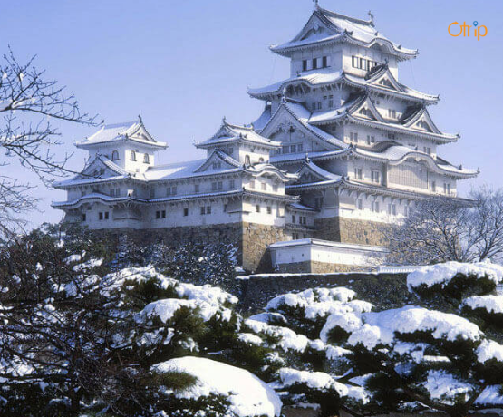 ĐÓN TẾT NGUYÊN ĐÁN TẠI NHẬT BẢN: OSAKA – KYOTO – TOKYO
