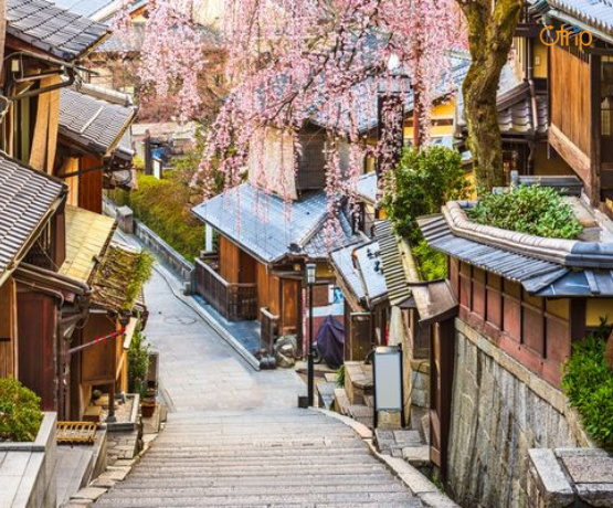 ĐÓN TẾT NGUYÊN ĐÁN TẠI NHẬT BẢN: OSAKA – KYOTO – TOKYO