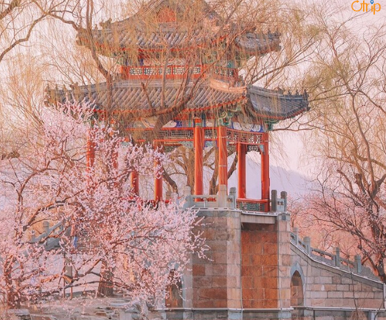 BẮC KINH – HÀNG CHÂU – Ô TRẤN – THƯỢNG HẢI 6N5Đ