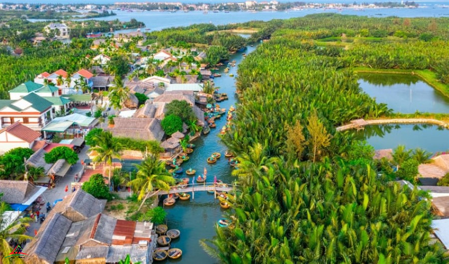 Bay Mau coconut forest