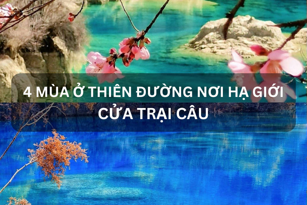 4 MÙA Ở THIÊN ĐƯỜNG NƠI HẠ GIỚI – CỬA TRẠI CÂU
