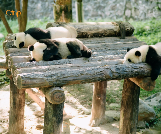 DU LỊCH TRÙNG KHÁNH – CỬU TRẠI CÂU – THÀNH ĐÔ 6N5Đ
