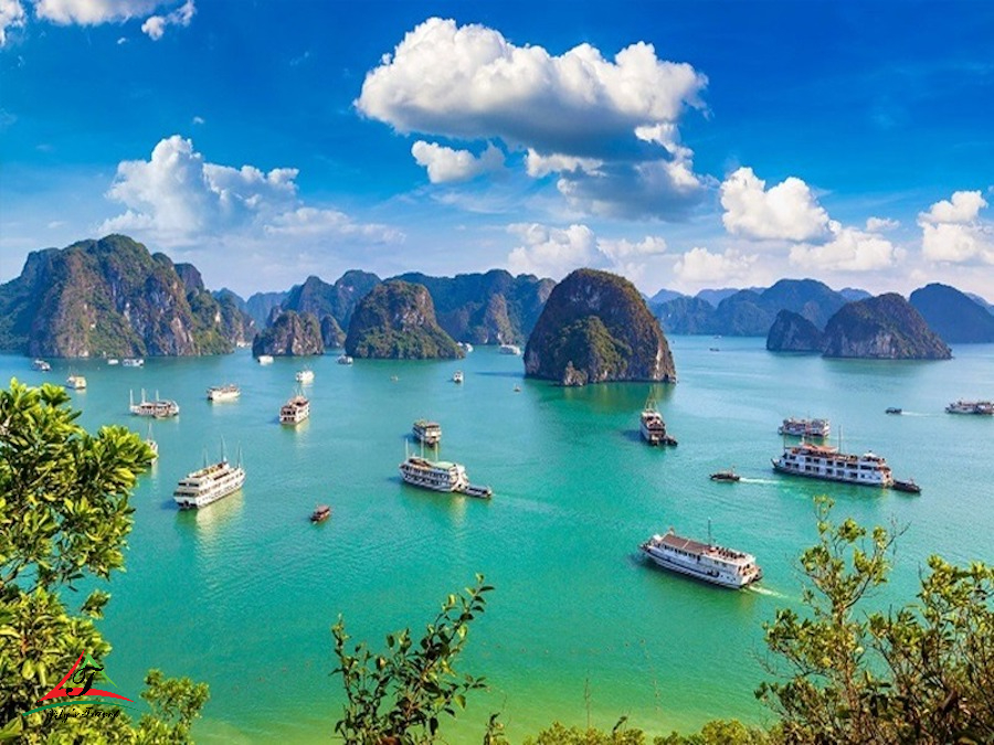 Halong cruise