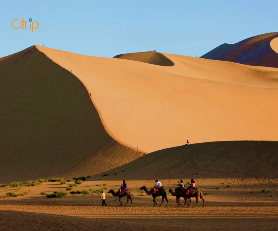 kham-pha-con-duong-to-lua-gia-tot-otrip-001
