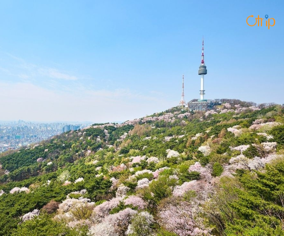 TOUR HÀN QUỐC TRƯỢT TUYẾT: SEOUL – LOTTE WORLD – NAMSAN – TRƯỢT TUYẾT – THƯ VIỆN STARFIELD