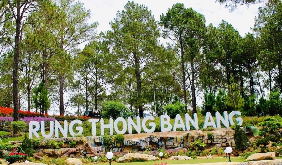 Thong Ban Ang Forest