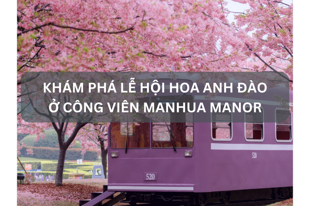 Khám phá lễ hội hoa anh đào ở công viên Manhua Manor