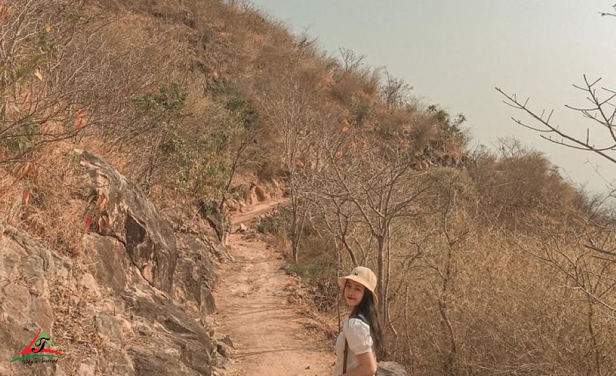 Dry tree road (alley 444 Tran Phu)