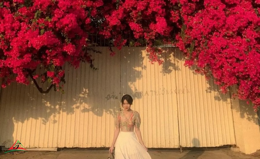 Paperflower road
