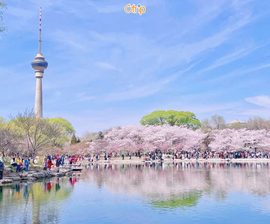 BẮC KINH – HÀNG CHÂU – Ô TRẤN – THƯỢNG HẢI 6N5Đ