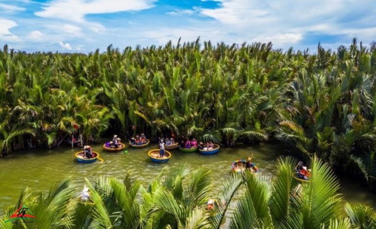 discover water coconut forest