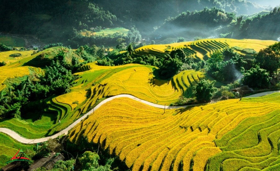 terrace fields in sapa