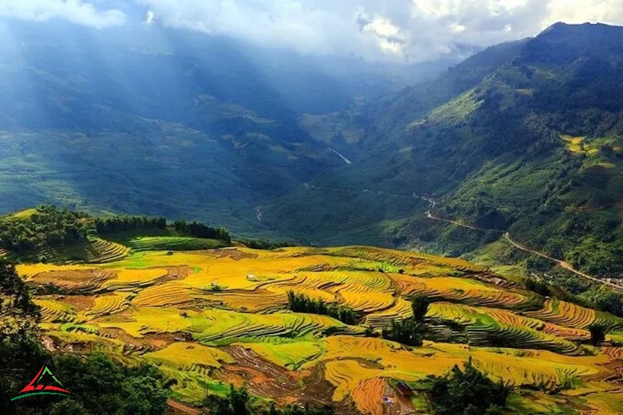 Muong Hoa Stream in the morning