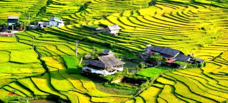 Sapa - Rainy season tourist destination in the North.