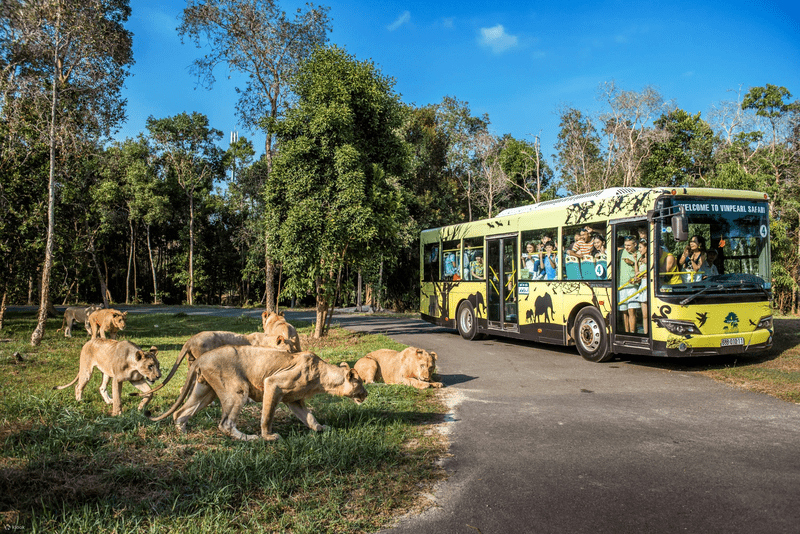 Go Wild at Vinpearl Safari Phu Quoc