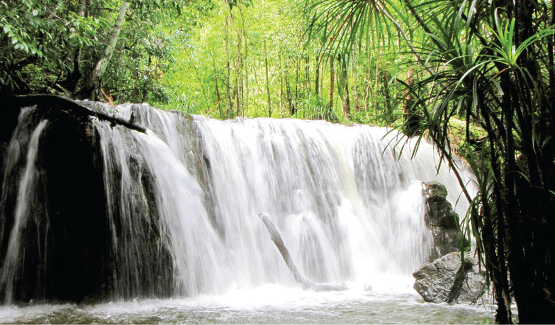 Find Your peaceful soul at Suoi Tranh Waterfall
