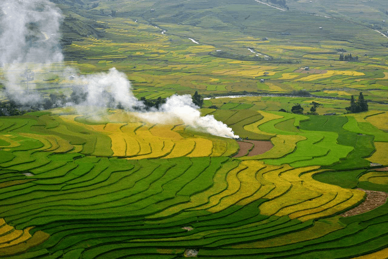 Sapa In Summer