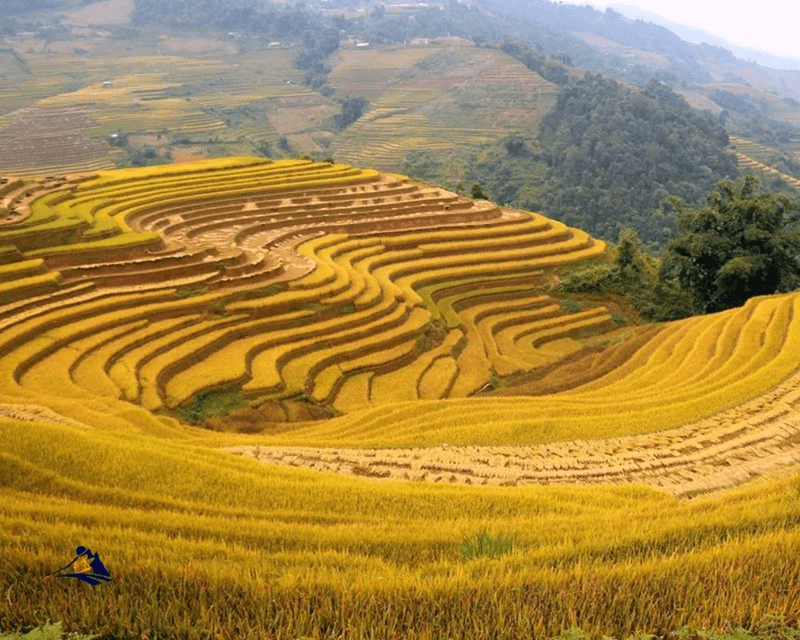 Sapa In AutumnÂ
