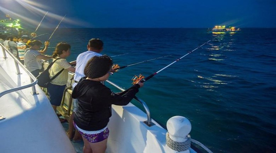 Squid fishing at night at sea