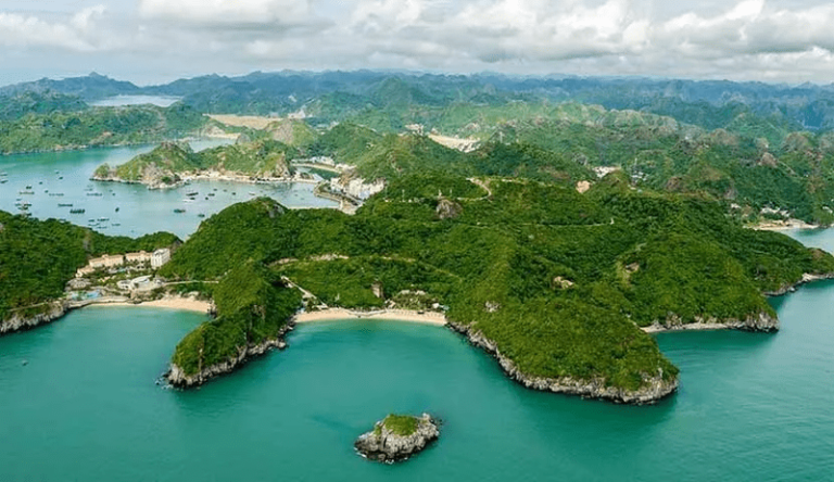 Maximize Your Vietnam Adventure: The Perfect Cat Ba to Ninh Binh Travel Guide