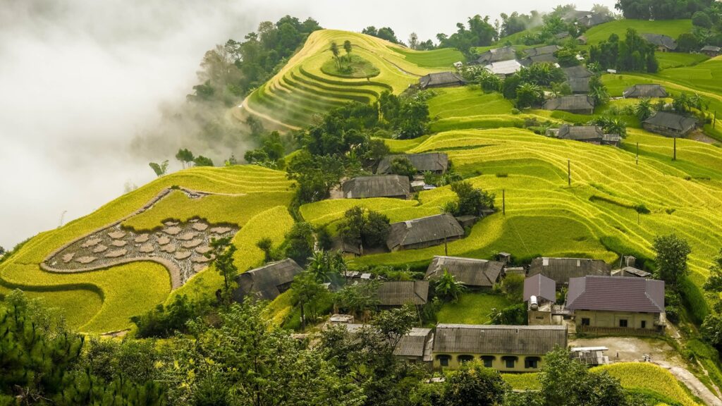 Hoang Su Phi Ha Giang