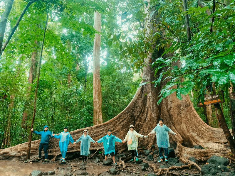 Activities and Attractions in Binh Chau National Forest