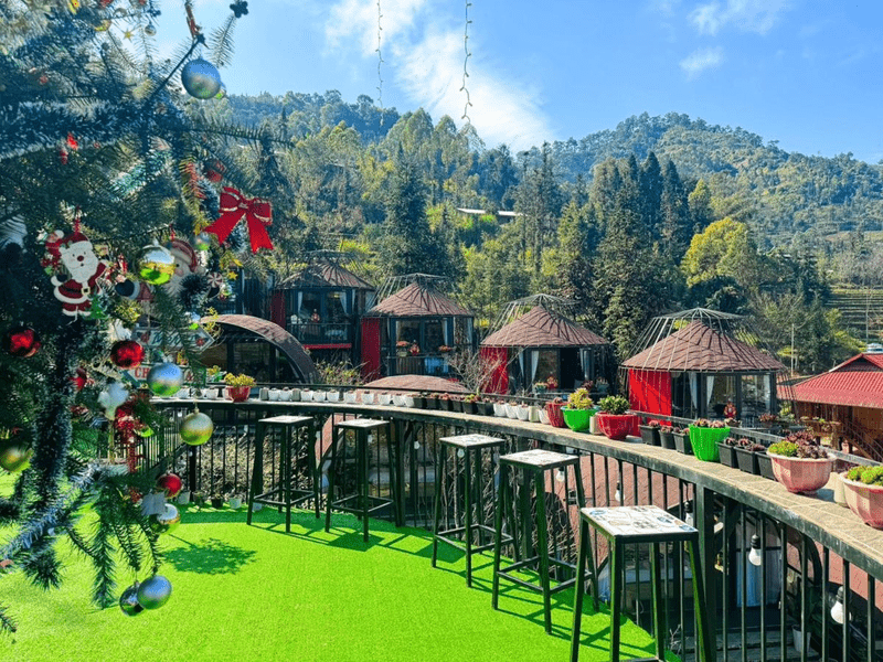 Plum Homestay Dong Van