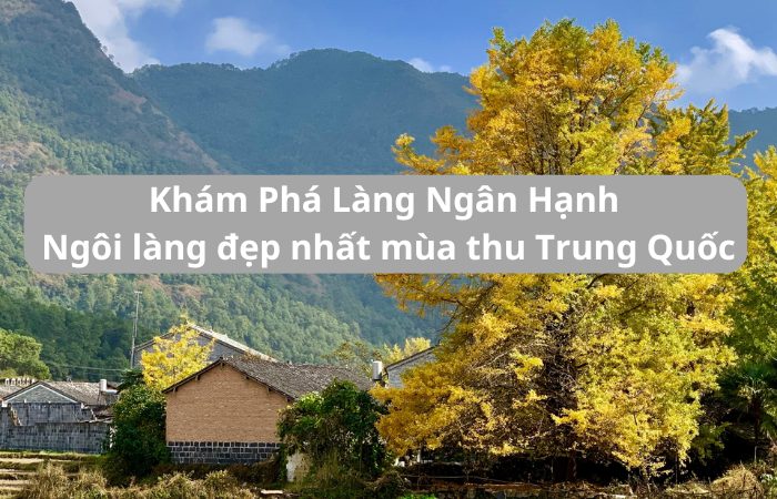 Khám Phá Làng Ngân Hạnh – Ngôi làng đẹp nhất mùa thu Trung Quốc