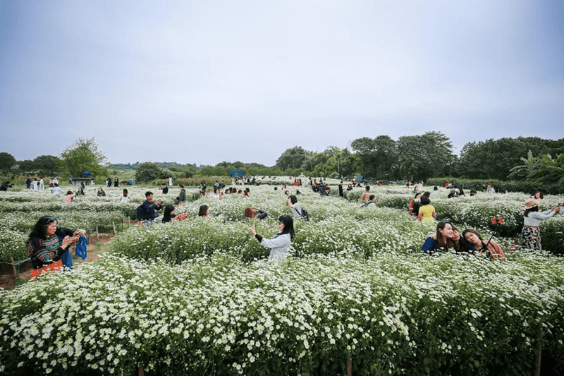 Taking photos in Red River Flower Garden