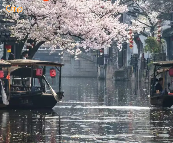 TOUR THƯỢNG HẢI – HÀNG CHÂU – TÔ CHÂU – Ô TRẤN – VÔ TÍCH 6N5Đ BAY CA