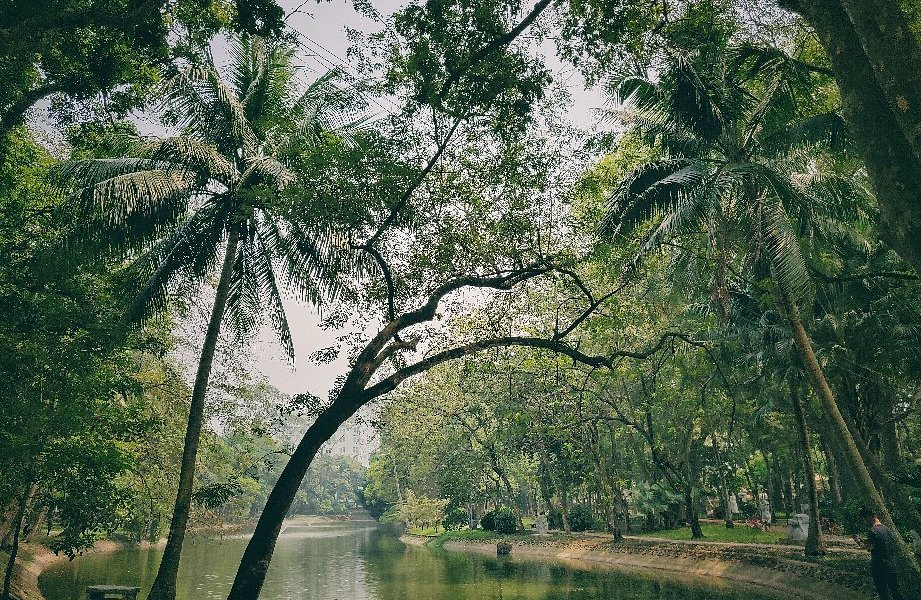 The garden possesses a tranquil atmosphere with a diversity of plants