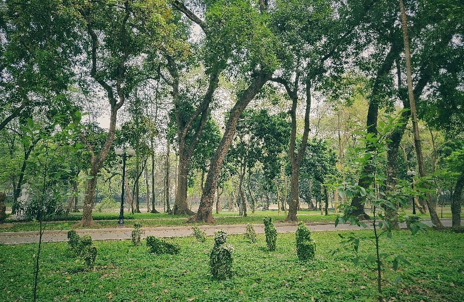 The Botanical Garden reflects the long history during French colonial period