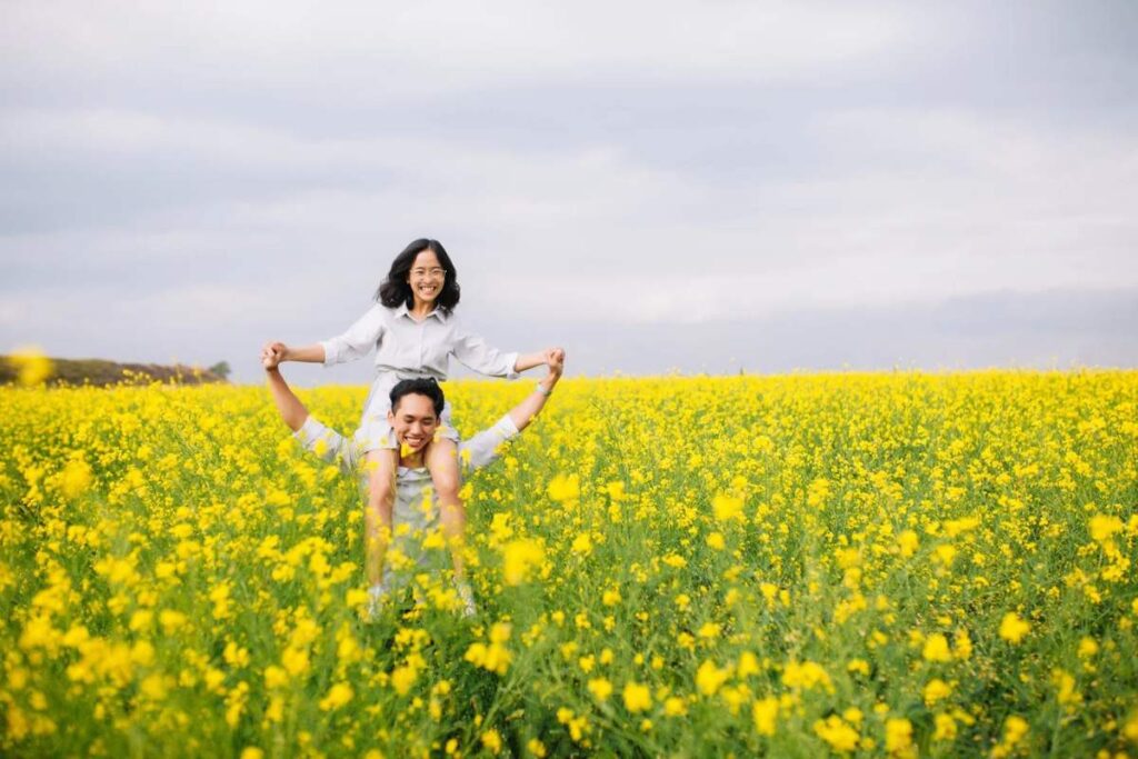 Cau Dat mustard flower garden