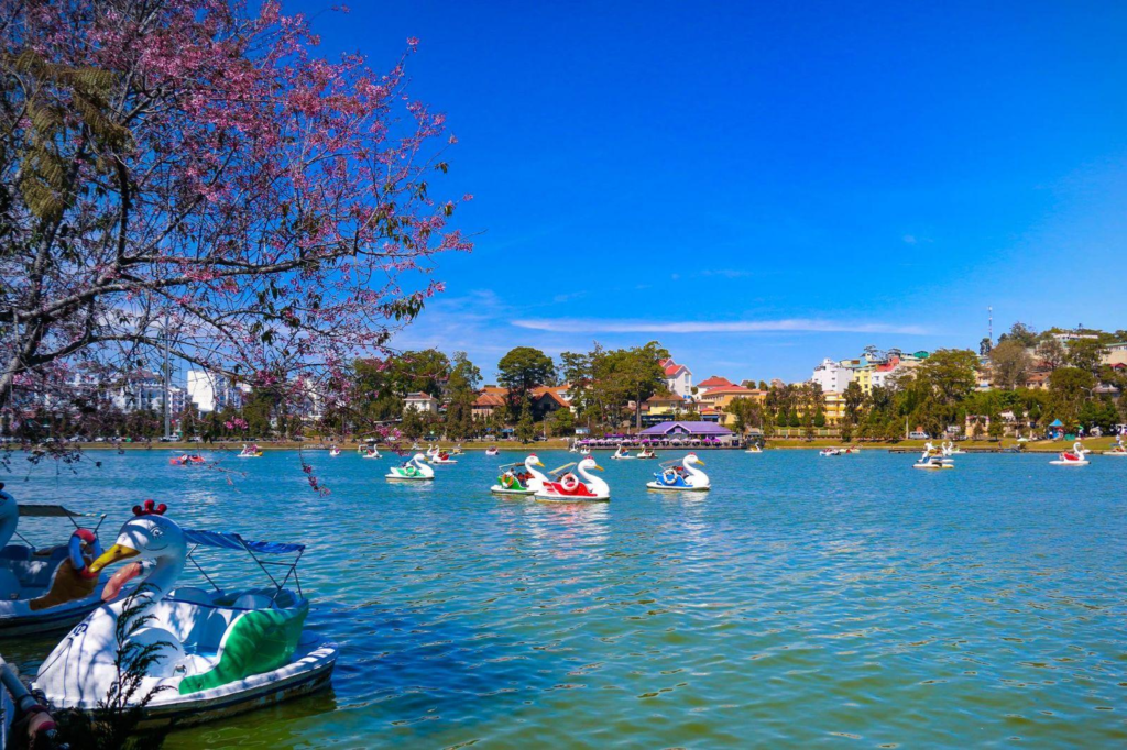 People enjoying the peaceful waters of Xuan Huong Lake on swan-shaped paddle boat