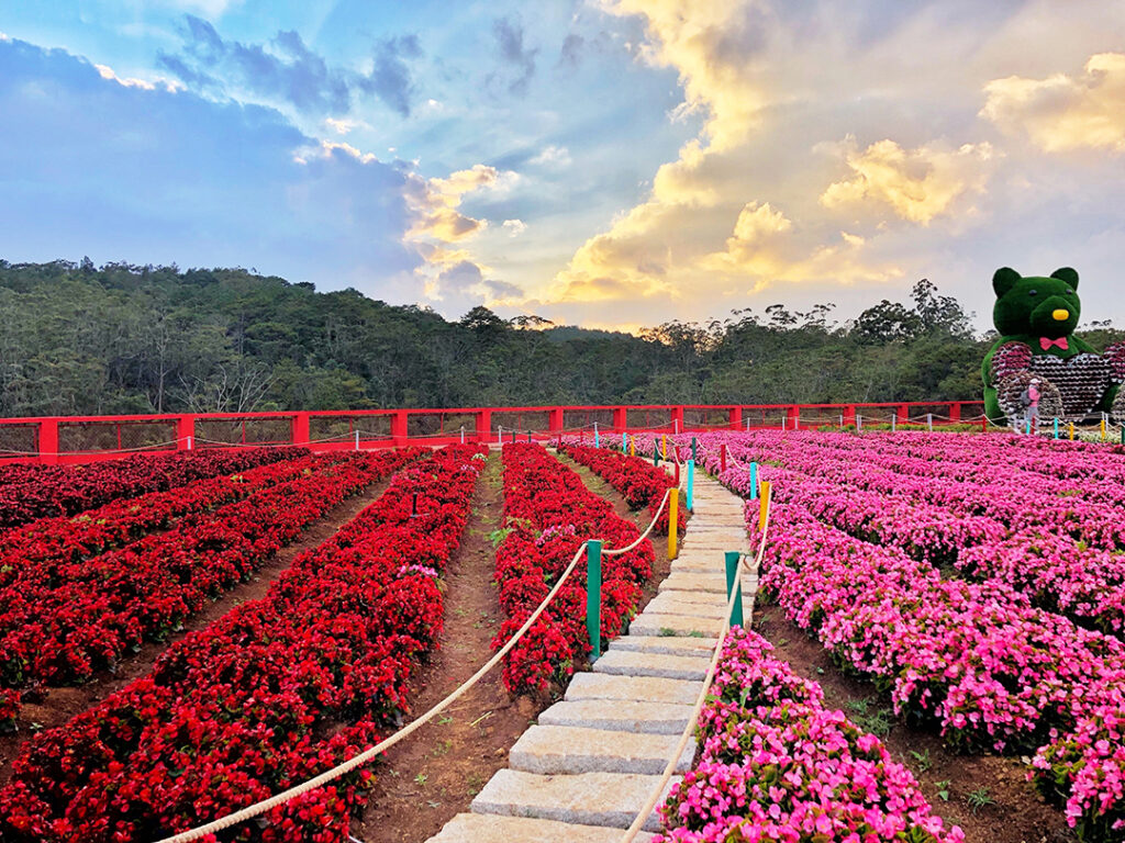 Some Notes When Visiting Dalat Flower Gardens