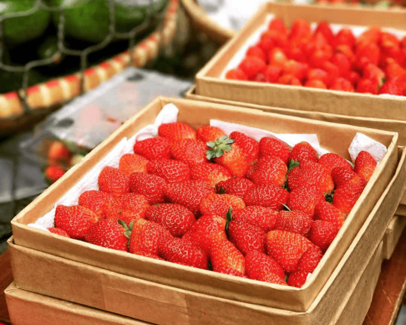What Can You Find at Dalat Market on Your Trip: Fresh produce