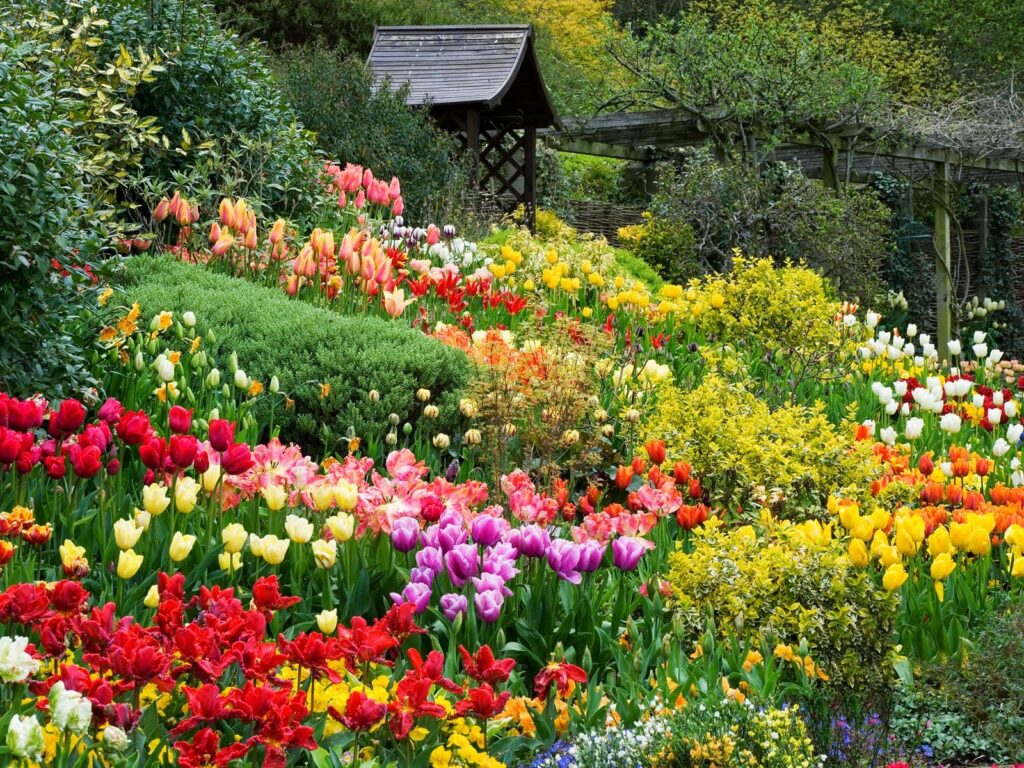 Capture Perfect Moments in Dalat Flower Garden